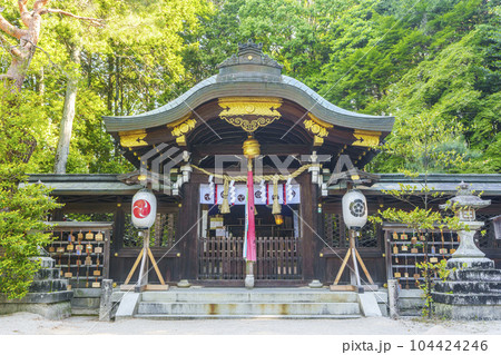 新緑に包まれた八大神社 御本殿(京都府京都市左京区一乗寺) 新緑に包まれた八大神社 御本殿(京都府京都市左京区一乗寺) 104424246