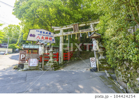 新緑に包まれた八大神社 ニノ鳥居(京都府京都市左京区一乗寺) 新緑に包まれた八大神社 ニノ鳥居(京都府京都市左京区一乗寺) 104424254
