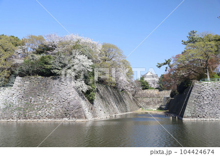 名古屋城　名城公園　桜　愛知県 104424674