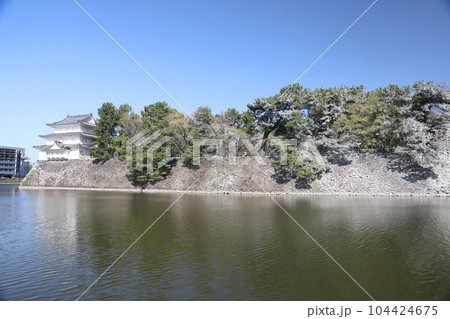 名古屋城　名城公園　桜　愛知県 104424675