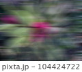 Beautiful defocused dark green background with a pink accent in the center 104424722