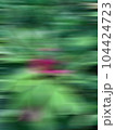 Very nice defocused green background with a pink accent in the center 104424723