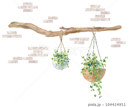 レンガ壁を背景に流木に吊るした、オシャレなハンギング植物の水彩