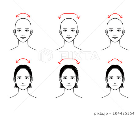 【頭の形】丸い頭、四角い頭(ハチの張った頭)、尖った頭 104425354