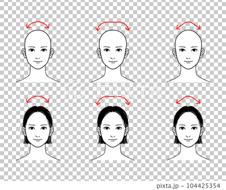 【頭の形】丸い頭、四角い頭(ハチの張った頭)、尖った頭 104425354