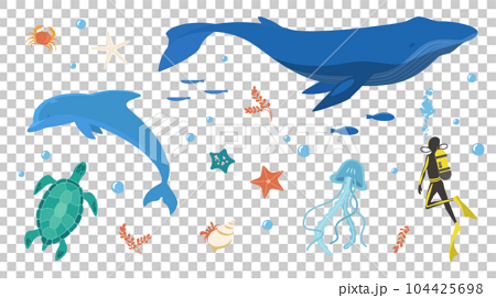 海の生き物のイラストセット　イルカやクジラなど 104425698