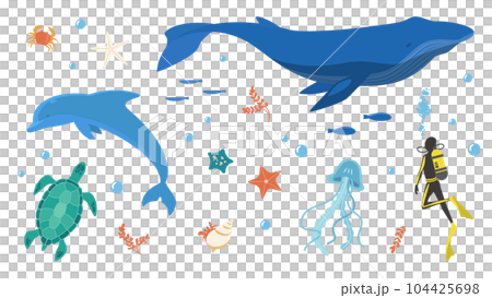 海豚和鯨魚等海洋生物的插圖集 104425698