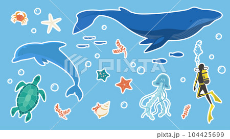 海の生き物のイラストセット イルカやクジラなどのイラスト素材