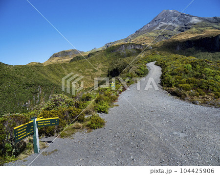 New Zealand, Taranaki, Egmont National Park, Hiking trail New Zealand, Taranaki, Egmont National Park, Hiking trail 104425906