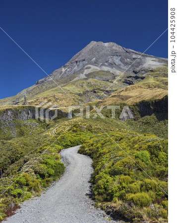 New Zealand, Taranaki, Egmont National Park, Hiking trail New Zealand, Taranaki, Egmont National Park, Hiking trail 104425908
