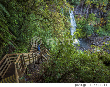 New Zealand, Taranaki, Egmont National Park, Hiker walking down wooden stairs towards waterfall New Zealand, Taranaki, Egmont National Park, Hiker walking down wooden stairs towards waterfall 104425911
