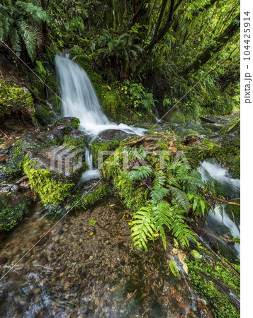 New Zealand, Taranaki, Egmont National Park, Waterfall in forest 104425914
