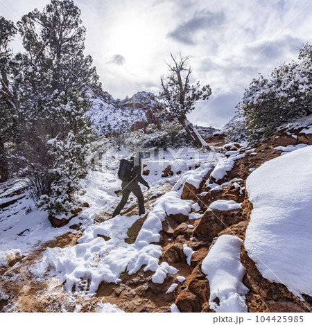 USA, Utah, Springdale, Zion National Park, Senior woman hiking in mountains in winter USA, Utah, Springdale, Zion National Park, Senior woman hiking in mountains in winter 104425985