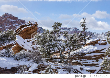 USA, Utah, Springdale, Zion National Park,...の写真素材 [104426007] - PIXTA
