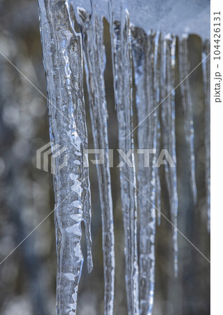 Close up of icicles in winter 104426131