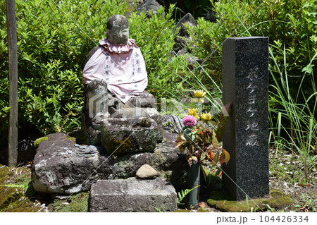 生善院観音堂(猫寺) 生善院観音堂(猫寺) 104426334
