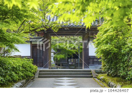 南禅寺塔頭　最勝院高徳庵　新緑に包まれた参道 104426407