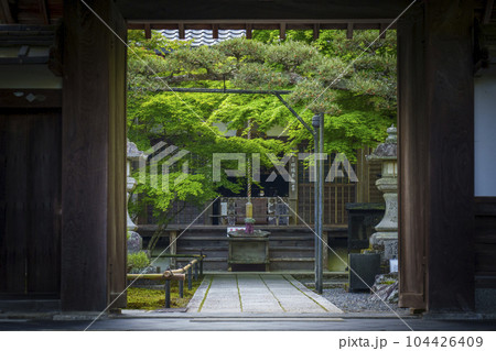 南禅寺塔頭　最勝院高徳庵　新緑に包まれた参道 104426409
