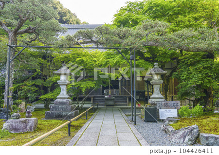 南禅寺塔頭　最勝院高徳庵　本堂　縁結びの松 104426411