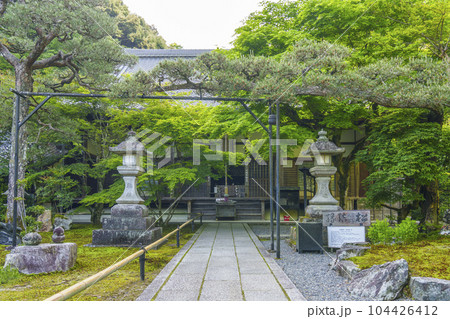 南禅寺塔頭　最勝院高徳庵　本堂　縁結びの松 104426412