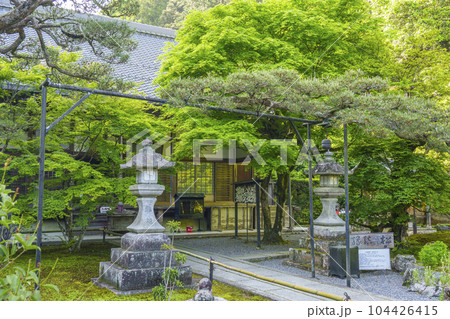 南禅寺塔頭 最勝院高徳庵 本堂 縁結びの松 南禅寺塔頭 最勝院高徳庵 本堂 縁結びの松 104426415