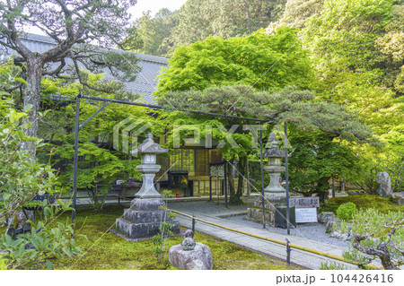 南禅寺塔頭　最勝院高徳庵　本堂　縁結びの松 104426416