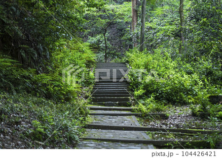 南禅寺の奥にある知られざる聖域　南禅寺奥之院への山道 104426421
