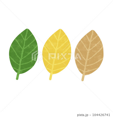 Drawing of a variety of colored leaves isolated on transparent background for nature decoration and springtime concept 104426741
