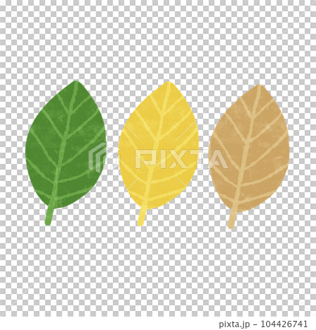 Drawing of a variety of colored leaves isolated on transparent background for nature decoration and springtime concept 104426741