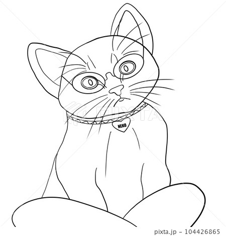 Cat 104426865