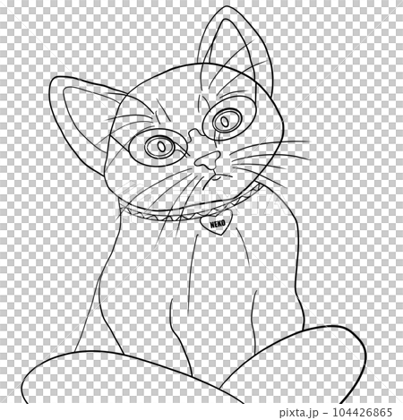 Cat 104426865