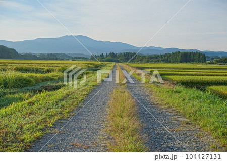 両側に水田広がる月山に向って真っすぐに伸びた砂利道の風景 両側に水田広がる月山に向って真っすぐに伸びた砂利道の風景 104427131