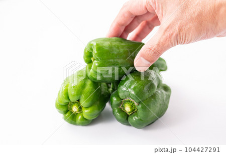 ピーマン（白背景） 104427291