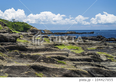 三浦半島の最南端 城ヶ島の海景【神奈川県・三浦市】 三浦半島の最南端 城ヶ島の海景【神奈川県・三浦市】 104427855