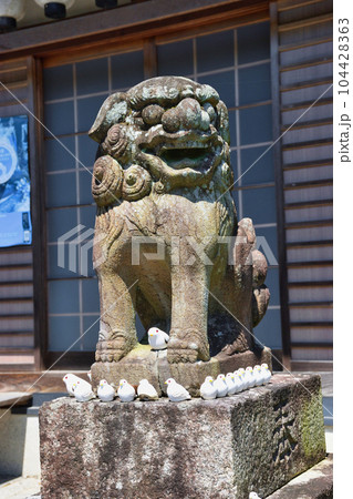 三宅八幡宮の鳩（京都市左京区上高野） 104428363