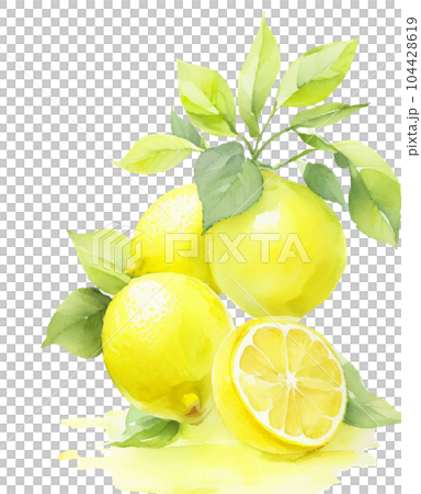 レモンの水彩イラスト　Generative AI 104428619