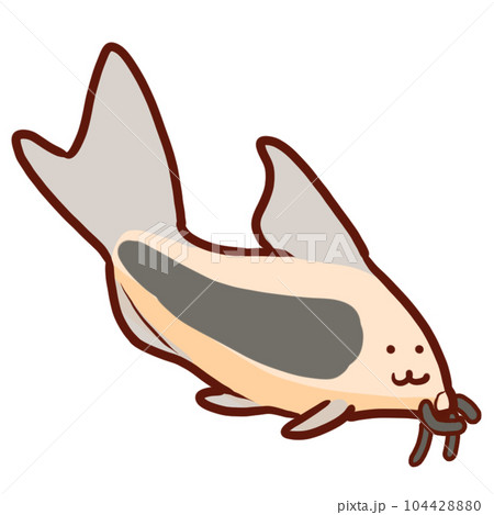 コリドラス・アエネウス 104428880