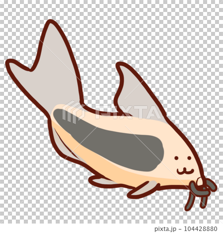 コリドラス・アエネウス 104428880