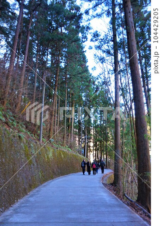 袋田の滝 ふくろだのたき 四度の滝 帰り道 袋田の滝 ふくろだのたき 四度の滝 帰り道 104429205