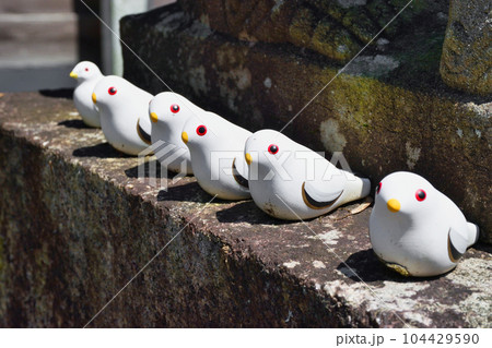 三宅八幡宮の鳩（京都市左京区上高野） 104429590