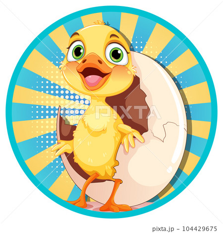 Little duckling hatching the egg 104429675