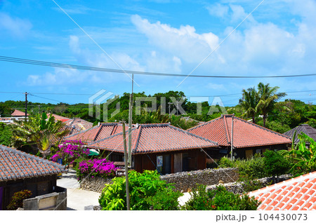 沖縄 竹富島 原風景 沖縄 竹富島 原風景 104430073