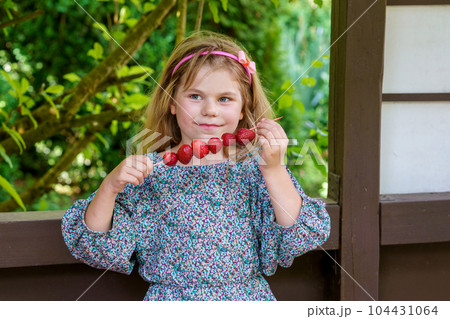 Little girl eating delicious strawberries on skewers, savoring the simple pleasures of family and healthy food. Happy preschool child eat fresh berries 104431064