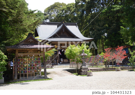生善院観音（猫寺） 104431323