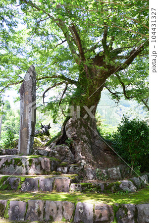 竹原天満神社(竹原公園) 竹原天満神社(竹原公園) 104431327
