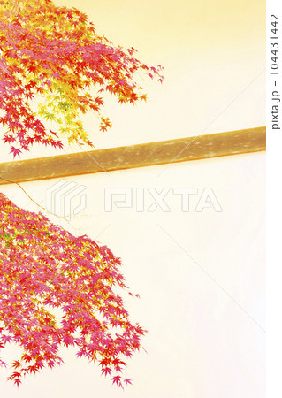 紅葉 104431442
