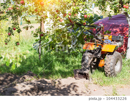 A multifunctional walk-behind tractor stands under an apple tree in summer in sunny weather, industry. Technique for assistance in agriculture. Copy space for text 104433226