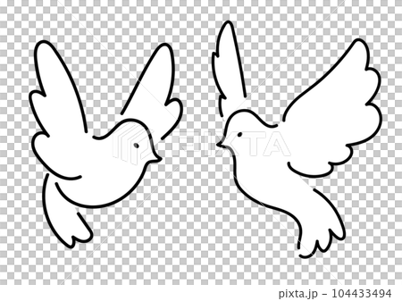 簡單的鴿子線描 104433494
