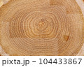 Background nya nature 104433867