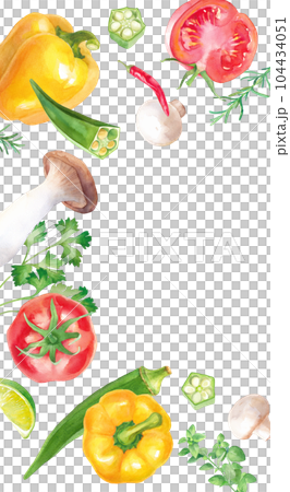 新鮮夏季蔬菜和香草的水彩插圖。健康圖像橫幅背景。西紅柿、秋葵、蘑菇、辣椒粉等。 104434051
